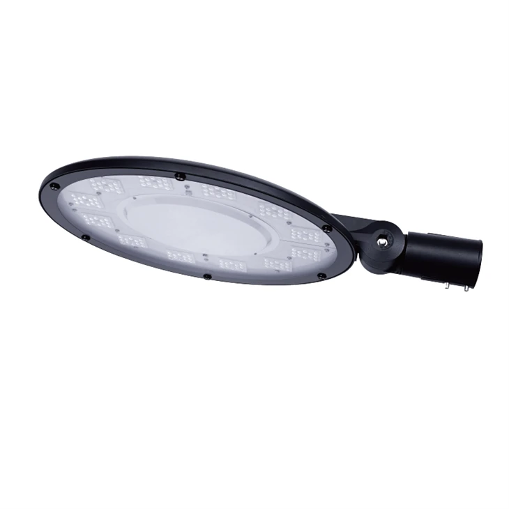 luz conduzida 100W do jardim
